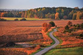 Inverno negli alberi forestali di abetaia con il passaggio pedonale bianco della. Sfondi Paesaggio Foresta Collina Natura Campo Strada Alba Mattina Soleggiato Campo Altopiano Zone Umide Albero Autunno Giorno Colori Prateria Stagione Naturaleza Paisaje Colores Arboles Amanecer Dia Soluppg Ng I Campi Landskap