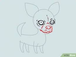 The video tutorial will literally take you step by step, even a caveman will be able to learn how to do! How To Draw A Chihuahua With Pictures Wikihow