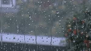 Información, novedades y última hora sobre lluvia. Top 30 Lluvia Fuerte Gifs Find The Best Gif On Gfycat