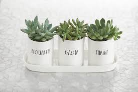 Stem Print Three Bulb Planter Set With Tray Painted Pots Diy Planters Pot Designs