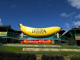 The theatre show was entertaining as it gave the history of banana growing in coffs harbour using holographic images and projections. Beyond The Big Banana Coffs Harbour S Stunning Scenic Walk Is A Must Visit 9travel