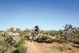 A video of a man from australia jumping into a cactus is going viral because it looks like one of the more painful experiences seen on the internet. Video Update Beware The Jumping Cactus Mountain Bike Action Magazine