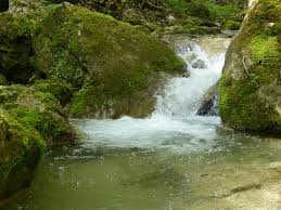 restaurant des gorges moutier restaurant avis numero de telephone photos tripadvisor