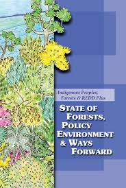 Check other websites in.my zone. Https Unfccc Int Files Land Use And Climate Change Redd Submissions Application Pdf Redd 20110523 Tebtebba State Of Forests Pdf