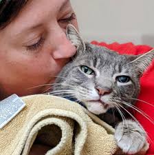 Animal Fix Clinic Fall 2024 Online Silent Auction