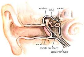 Chronic ear popping due to nasal allergies usually responds well to treatment of. Ear Pain Symptom Relief Ear Pain Treatment Ear Congestion Relief