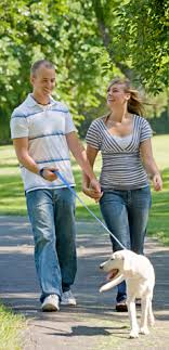 Choose from a range of experienced pet and dog sitting. Pet Owners Information Local Dog Cat Sitting Services