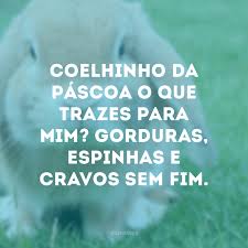 O coelho trouxe antes da hora, mas só me deixa abrir amanhã! 35 Frases De Pascoa Engracadas Para Zoar Com Os Amigos