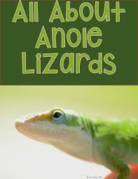 Use The Anole Lizard Science Book To Enhance Your Classroom Science Area Virtual Classroom Pets Are A Great Alternative To A Live A Classroom Pets Anole Lizard