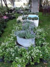 Zinksachen Zinkwanne Nepeta Katzenminze Landmarkt Bissenbrook Gartenzauber Astrantia Pflanzenmarkt Garten Ideen Garten Pflanzenmarkt