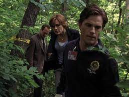 Criminal intent > season 6 > episode 10 « tv season page. Law Order Special Victims Unit Scavenger Tv Episode 2004 Imdb