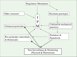 Monitoring populations of pest and beneficial species is critical to effective ipm. Diagrammatic Representation Of Ipm Components Download Scientific Diagram