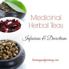 Herbal Teas Infusions And Decoctions What S The Difference Herbalism Medicinal Tea Herbal Remedies