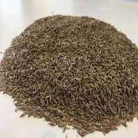 All item are shipped the day after payment by royal mail 48. Cumin Seeds Manufacturers Cumin Seeds Suppliers Exporthub