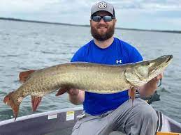 Muskie taking down a huge pike! Pike Vs Musky How Are They Different Strike And Catch