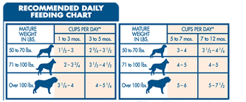 20 Matter Of Fact Recommended Feeding Chart For Dogs