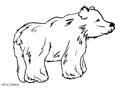 Disegni Di Orsetti E Orsacchiotti Da Stampare E Colorare Portale Bambini Bears Coloring Coloringpages Colorin Pagine Da Colorare Di Natale Disegni Colori