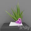 The name comes from the japanese ike, meaning 'alive' or 'arrange' and bana meaning 'flower.'. 3