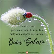 Adriana Festa On Twitter Buon Sabato E Buon Weekend A Tutti Voi Cari Amici Virtuali