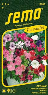 Image result for foto petúnie