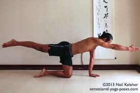 You can also perform this exercise in a chair with your feet flat on the floor and. Balancing Cat Pose