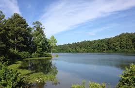 This is the weekend to plan an impromptu camping trip that calls for the basics: 10 Best Campsites In Alabama Eureka