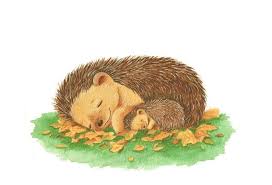 Sleeping Hedgehogs Mummy And Baby Art Print Newborn Art Etsy Hedgehog Art Hedgehog Illustration Baby Print Art