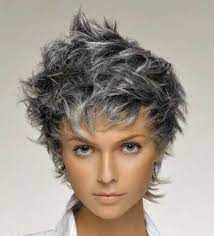 Coupe Petard Cheveux Poivre Et Sel 2015 Cheveux Courts Coupe De Cheveux Courte Coupe De Cheveux