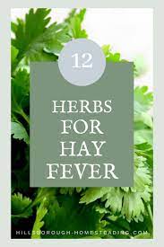 Natural Remedies For Treating Allergies Herbs Herbs For Health Healthy Garden