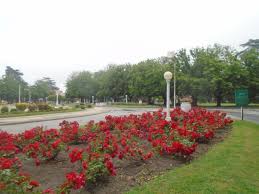 Una de las mejores plazas del Pais - Opiniones de viajeros sobre Plaza Libertad, Balcarce - Tripadvisor