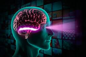 A brain is an organ that serves as the center of the nervous system in all vertebrate and most invertebrate animals. How The Brain Recognizes Objects Mit News Massachusetts Institute Of Technology