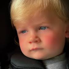 Fisher Animal Hospital