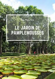 Ile Maurice Le Jardin De Pamplemousses Ile Maurice Maurice Ile