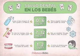 Dientes Del Bebe Dientes De Bebe Primeros Dientes Del Bebe Consejos Para El Embarazo