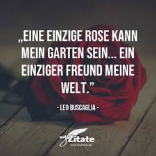 Die Besten Zitate Und Spruche Uber Blumen Myzitate