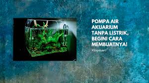 Tetapi saya lupa judul film dan aktornya. Pompa Air Akuarium Tanpa Listrik Begini Cara Membuatnya