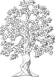 Other possible state symbols include animals, fish, dinosaurs, mammals. Flowering Tree Black White Sticker By Greengoodnich In 2021 Tree Coloring Page Flower Coloring Pages Tree Drawing