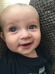 Obituary for Decklan James Hillard