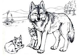 Hochwertige malvorlagen von howleen wolf sind ein wahrer schatz für jeden elternteil: Malvorlage Boser Wolf Coloring And Malvorlagan