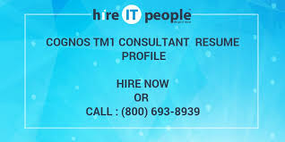 cognos tm1 consultant resume profile