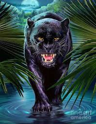 Panther Painting Black Panther Tattoo Panther Art Panther Tattoo