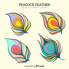 Peacock feather embroidery design using simple hand embroidery is used to beautify the sleeves of my kurti. Peacock Feather Images Free Vectors Stock Photos Psd