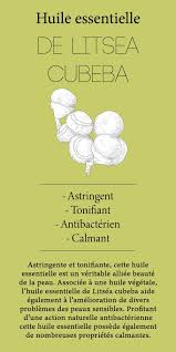Huile Essentielle De Litsea Cubeba Huiles Essentielles Huile Phytotherapie