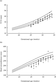 fetal transverse cerebellar diameter measurements in normal