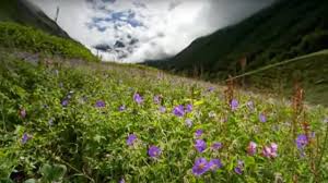 Check spelling or type a new query. The Valley Of Flowers Ganges Bbc Studios Youtube