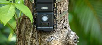Buy the best and latest wildlife camera motion detect on banggood.com offer the quality 3 662 руб. The Best Trail Camera April 2021