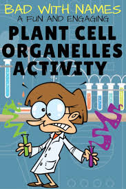 We did not find results for: Reviewing Your Students Over Animal Cell Organelles Doesn T Have To Be Intimidati Middle School Science Resources Cell Organelles Elementary Science Activities