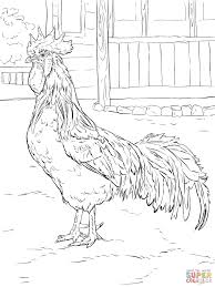 Brown Leghorn Rooster Coloring Page Coloring Pictures Coloring Pages Animal Coloring Pages