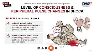 Shock Recognition and Management