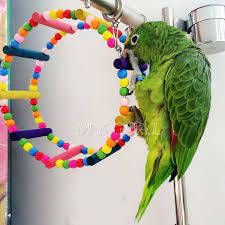 parrot toy hanging ferris wheel arch swing cage bird cockatoo parakeet toys 15cm in pet supplies birds toys ebay kus oyuncaklari muhabbet kuslari papagan